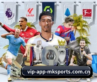 mk体育在线 APP
